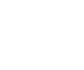 downloads-wolke
